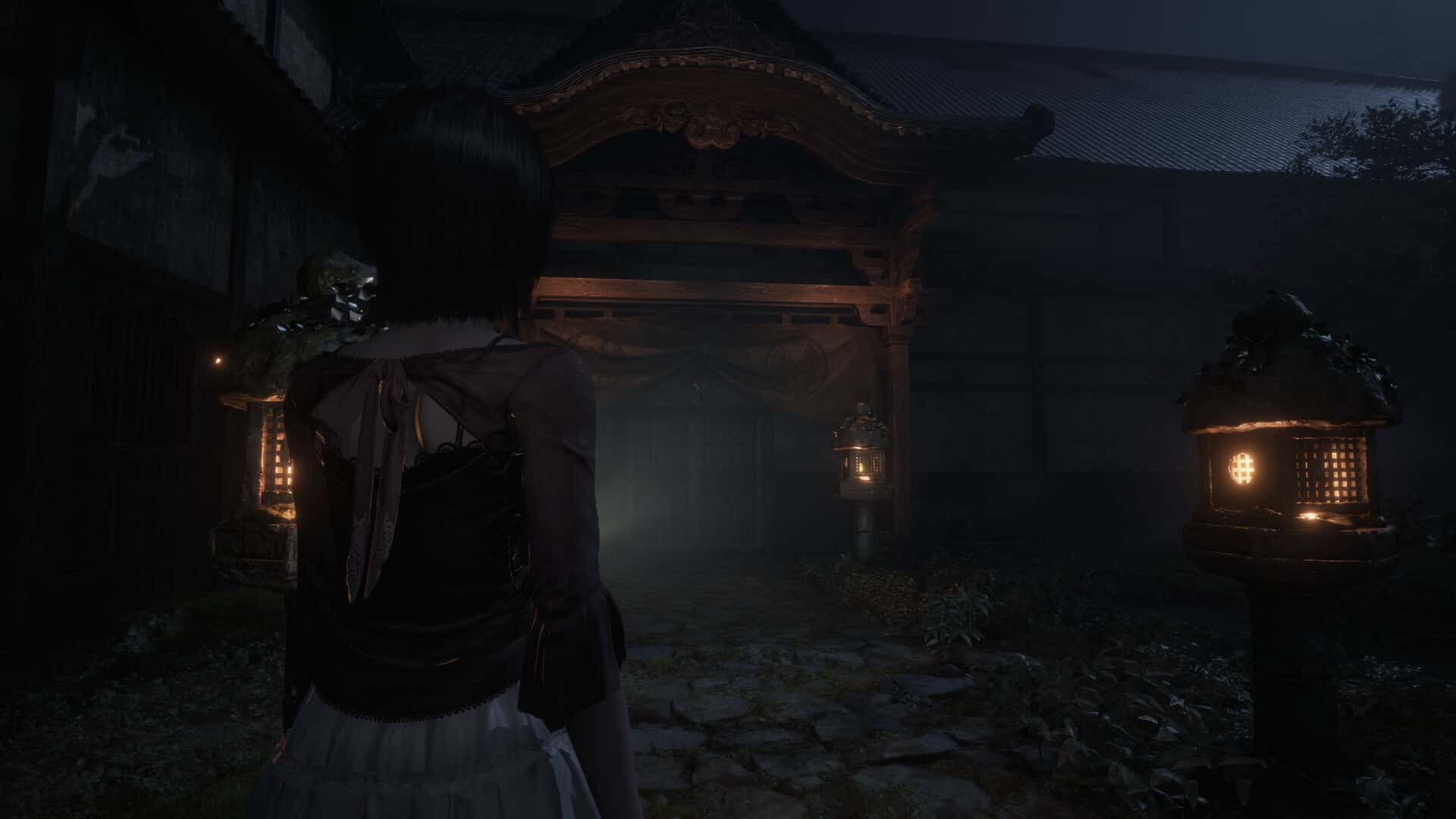 视觉数据5
